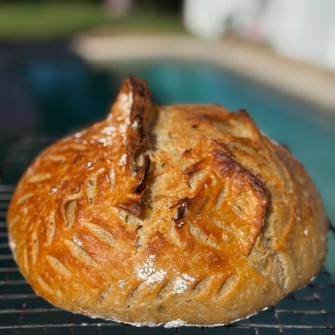 MicroBites Rosemary Garlic Sourdough Loaf | Fresh Home-Baked